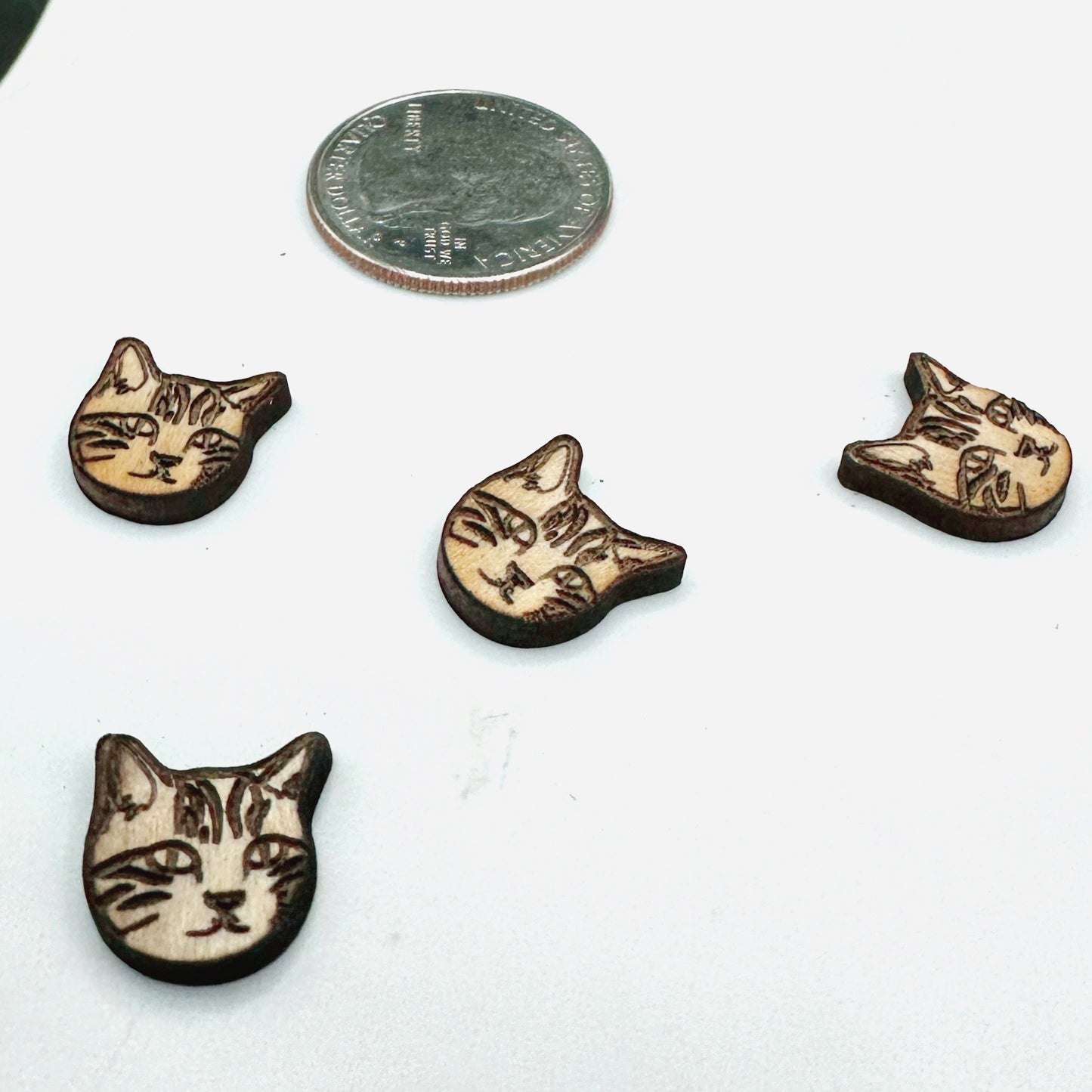 Tabby Cat Face Wood Blanks